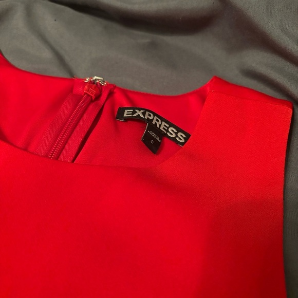 Express Red Flare Dress - Picture 3 of 3